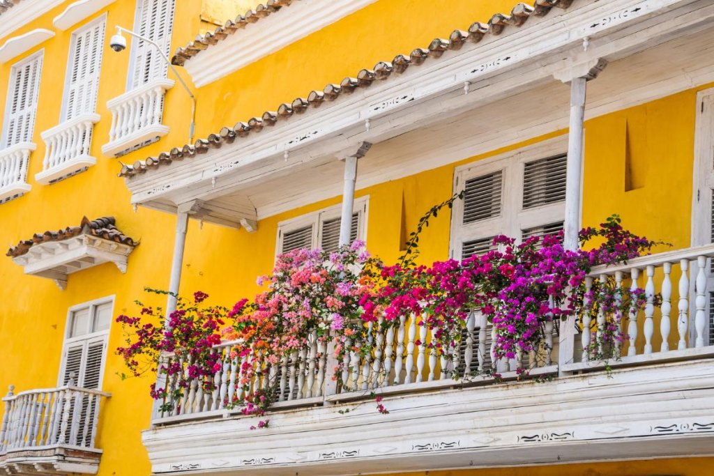 Transforma tu balcón en un oasis mediterráneo: Las mejores plantas de verano